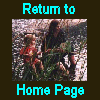 Back to main page