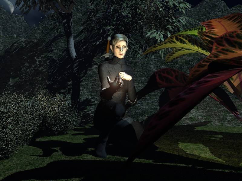 ShadowGuard.jpg - "Shadowguard"The Shadowguard are an elite force created by the elves after the founding of Belamir, to use the techniques of stealth, shadow, and silent slaying in protecting their new home. Parallels have been drawn between the skills and methods of the Shadowguard and those of the Fae Mhor, but the elves staunchly maintain that the Shadowguard are there only for good.